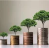 Early Belief, Big Gains Wealth Creation Through Startups