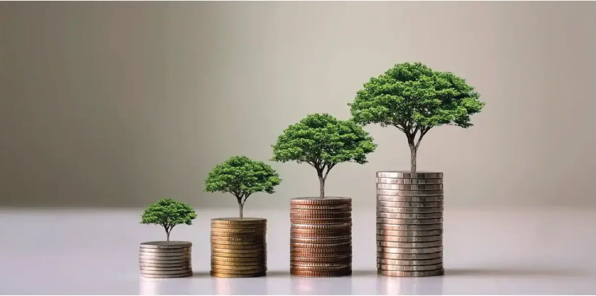 Early Belief, Big Gains Wealth Creation Through Startups