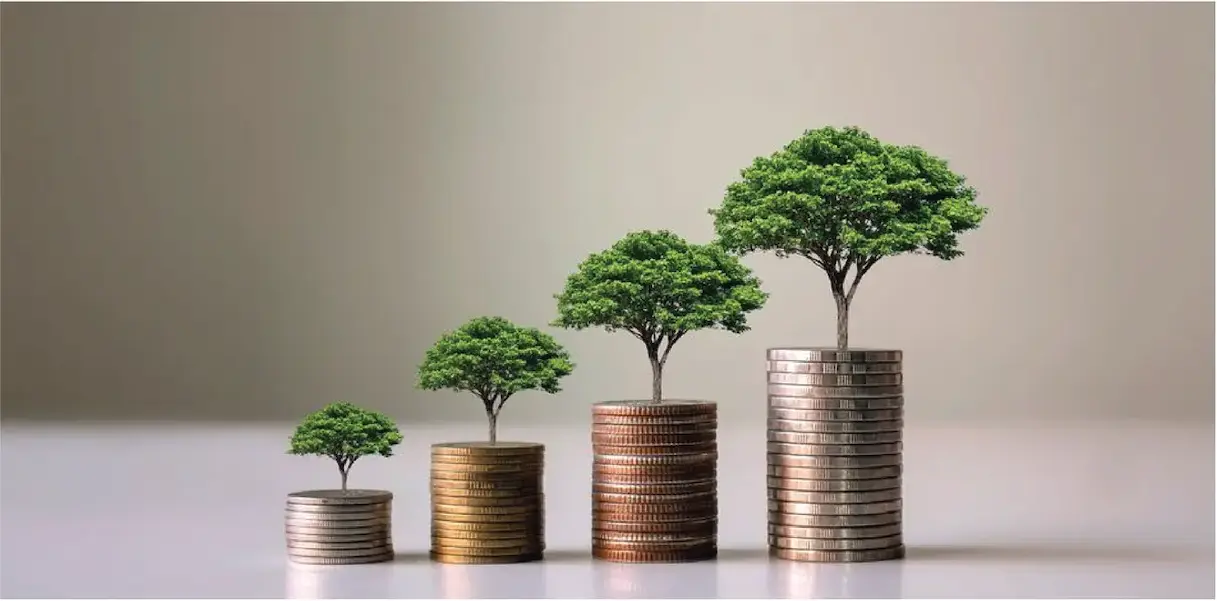 Early Belief, Big Gains Wealth Creation Through Startups